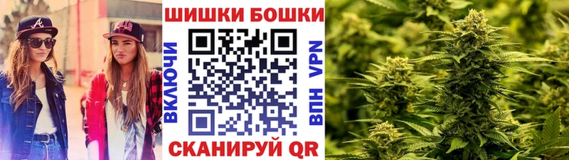 Бошки марихуана гибрид  hydra   Фролово  где купить наркоту 